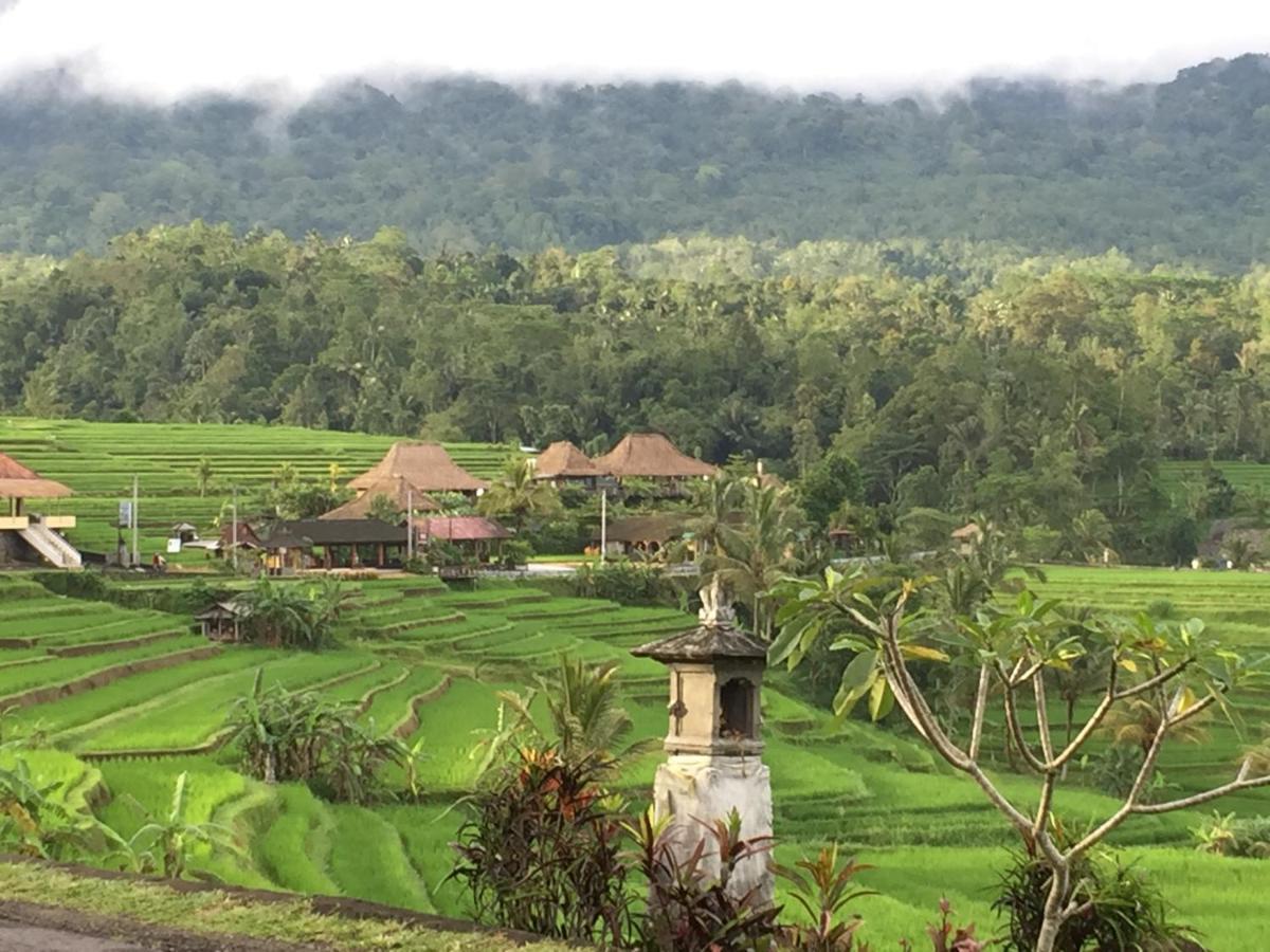 The Hidden Bali Inn Убуд Экстерьер фото