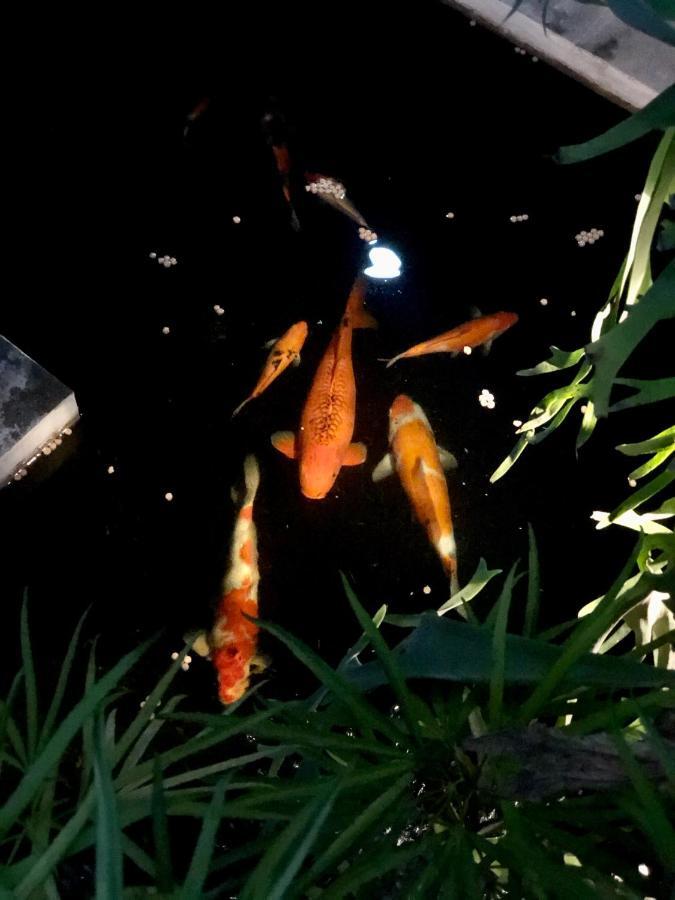 The Hidden Bali Inn Убуд Экстерьер фото